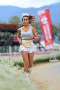 BIB: 
                            <button type="button" onclick="openModal(27895044)" class="btn btn-primary btn-sm float-right btn-popup" data-toggle="modal" data-target=".modal-high-quality">
                        <i class="fas fa-shopping-cart"></i> Add to Cart
                    </button>
                                            <button type="button" onclick="isThisMe(27895044, true)" class="btn btn-success btn-sm float-right btn-popup btn-isme hidden" data-toggle="tooltip" data-placement="bottom" title="นี่คือรูปของคุณใช่ไหม คลิกที่นี่เพื่อเอาเข้าอัลบั้ม">
                        <i class="fas fa-plus"></i> Add to album
                    </button>
                    <button type="button" onclick="isThisMe(27895044, false)" class="btn btn-warning btn-sm float-right btn-popup btn-isnotme hidden">
                        <i class="fas fa-ban"></i> Remove from album
                    </button>